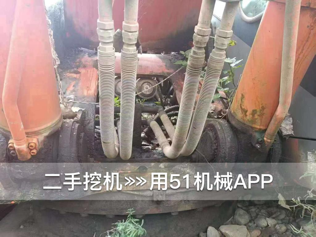 https://assets.gongji58.com/circle/2026-10-01/7qz6jwnl8r1790826414.png?watermark/1/image/a29kbzovL2dqZ2ovd2F0ZXJtYXJrL3dqLnBuZw/gravity/South/dx/0/dy/200/wst/2/ws/1|imageView2/0/w/1024/interlace/1
